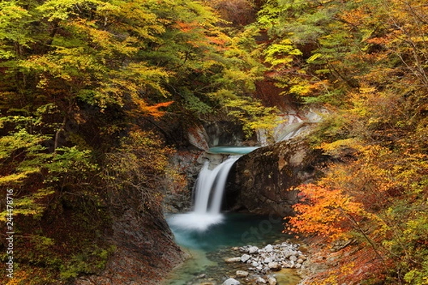 Obraz 西沢渓谷・竜神の滝