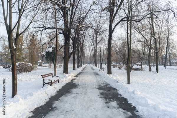 Obraz Winter in park in Europe with snow in winter during daytime 