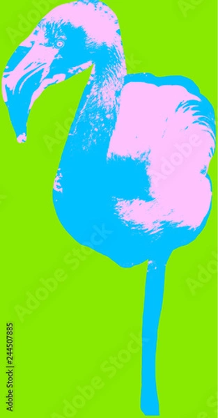 Fototapeta Flamingo picture over green background