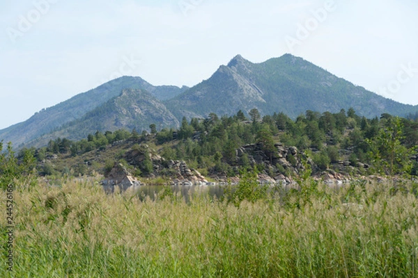 Fototapeta summer landscape