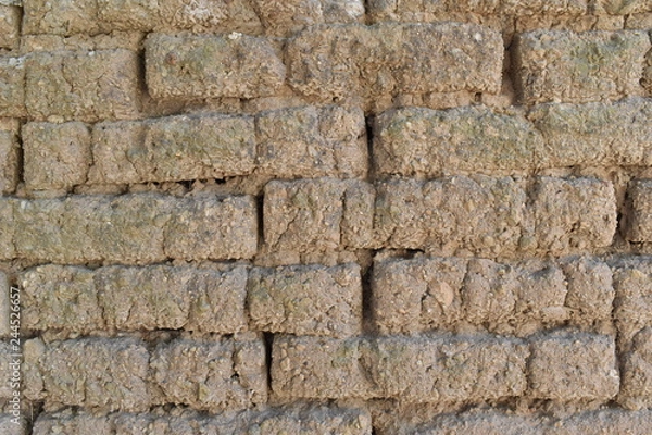 Obraz Adobe muro