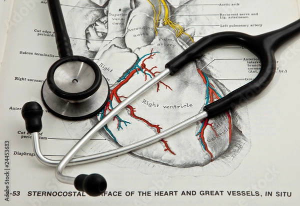 Obraz Stethoscopy with Anatomy text book