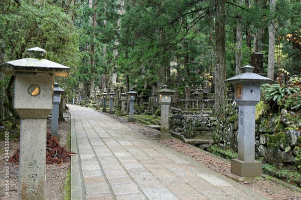 Fototapeta 夕方の高野山奥之院参道のお地蔵さま