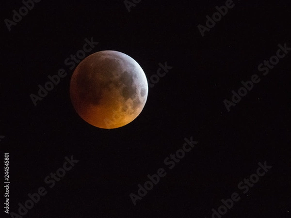 Obraz Amsterdam, The Netherlands - January 21, 2019: Super blood wolf moon, moon eclipse on sky