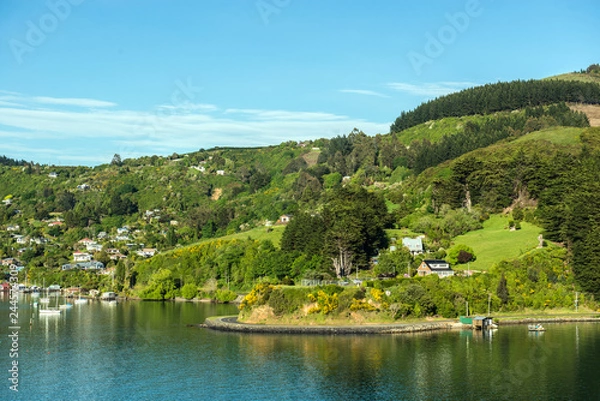 Fototapeta Sea approach to Port Chalmers, the port for the city of Dunedin in the South Island of New Zealand
