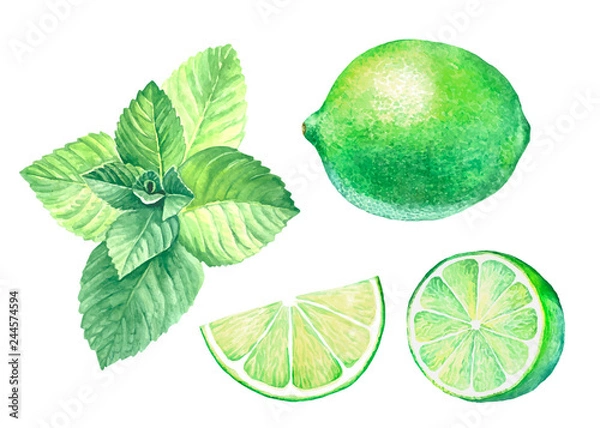 Obraz Collection image of mint leaves and lime.