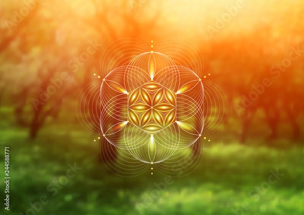 Fototapeta Vector template; Spiritual sacred geometry; Abstract geometric shape based on ancient symbol - "flower of life" on psychedelic natural photographic background; Yoga, meditation and relax.