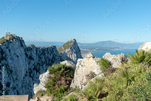 Obraz Rocks of Gibraltar with plants