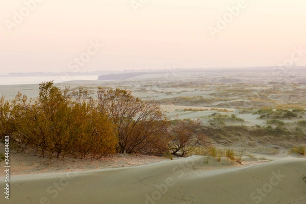 Fototapeta Dunes of Curonian spit