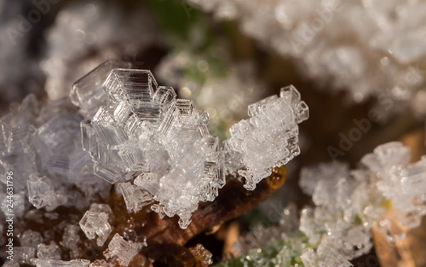 Obraz Ice crystals winter frozen