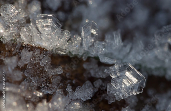 Obraz Ice crystals winter frozen