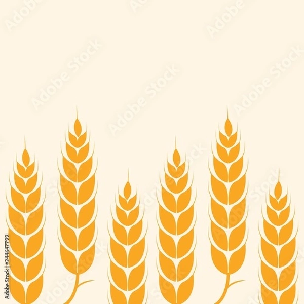 Fototapeta Wheat Leaf Organic Logo Vector Template