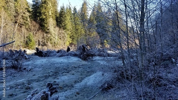 Fototapeta Mt Baker Washington - Pacific Northwest