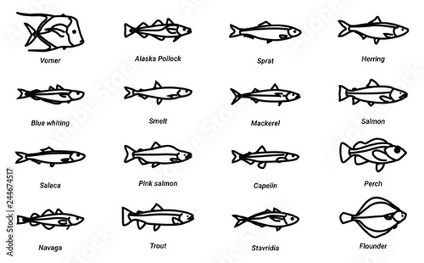 Fototapeta fish lines icon