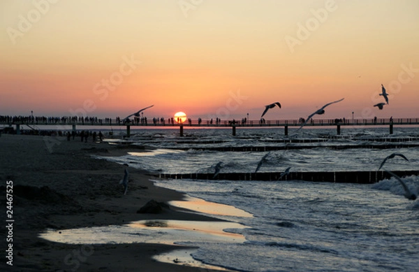 Obraz Seebrücke Koserow Usedom