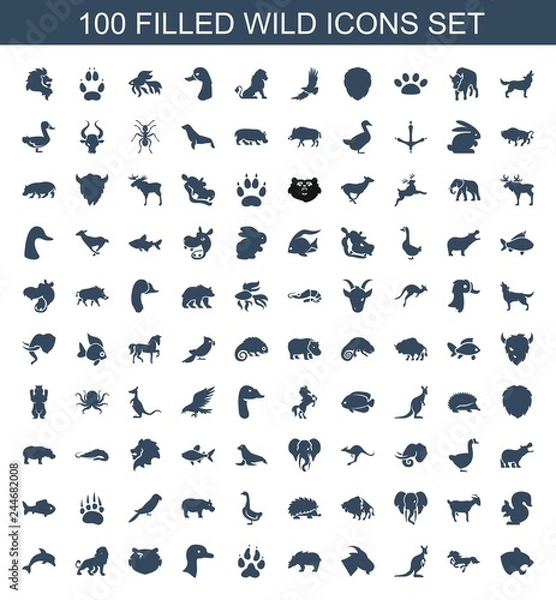 Obraz wild icons
