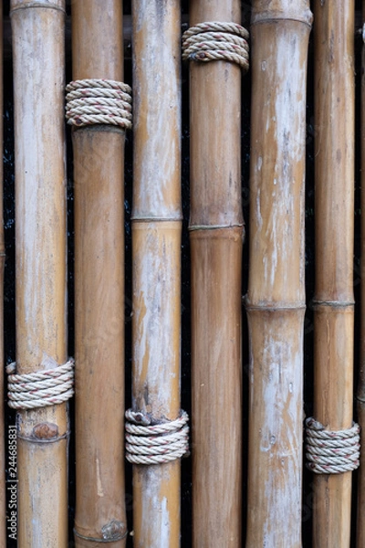 Fototapeta Bamboo wall pattern background