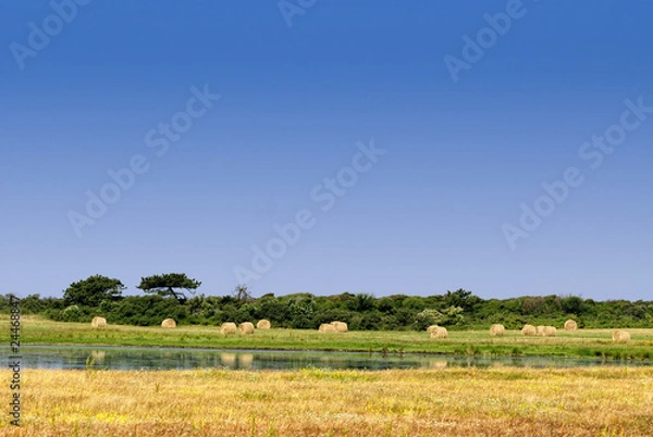 Obraz Heuernte auf Hiddensee