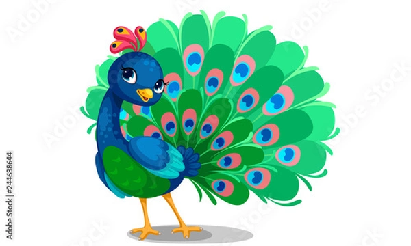 Obraz Beautiful peacock