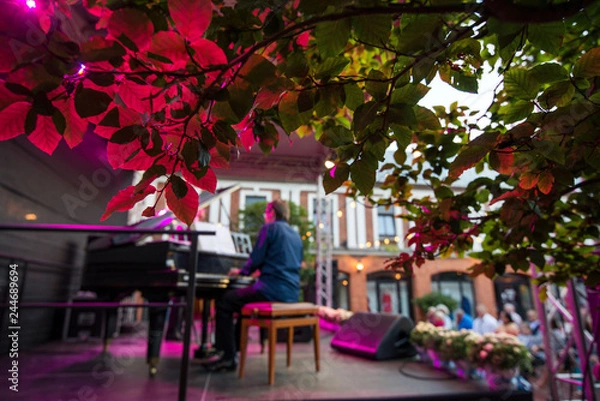 Obraz Male musician on stage playing piano. Crowded venue. Audience enjoying romantic and relaxing evening. 