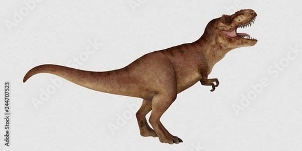 Fototapeta Extremely detailed and realistic high resolution 3d illustration of a T-Rex Dinosaur isolated on white Background