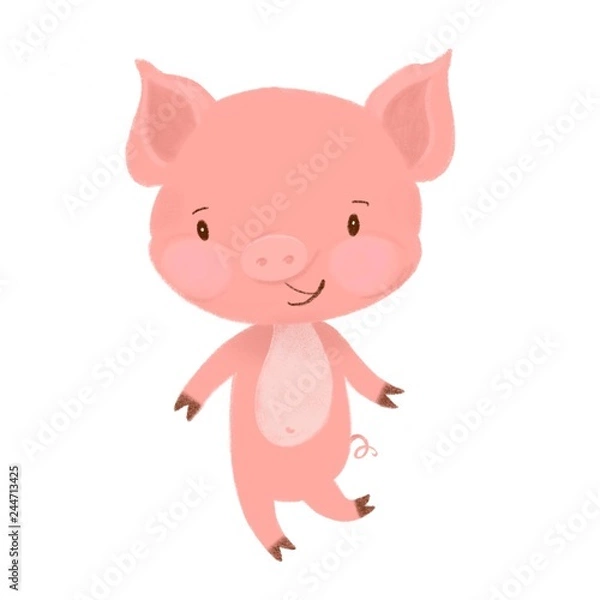 Obraz pig on white background