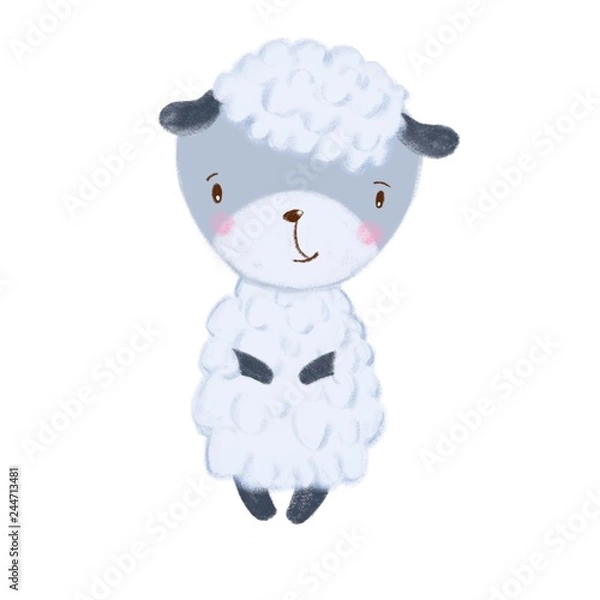 Obraz Little lamb