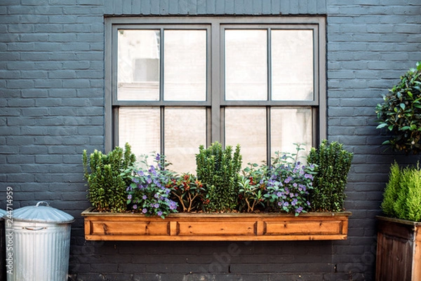 Fototapeta Beautiful windows with flowers on a black facade house