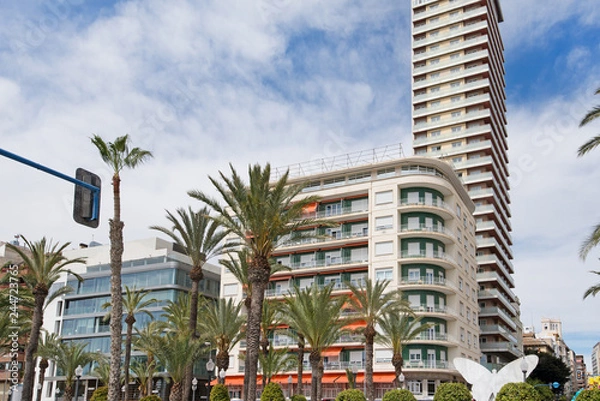 Obraz Modern residential block buildings behind traditional local breed of palm trees in the center of Alicante, Spain.  