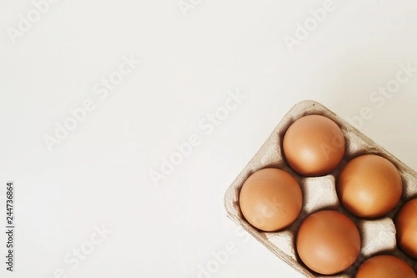 Fototapeta Eggs in tray on white background.