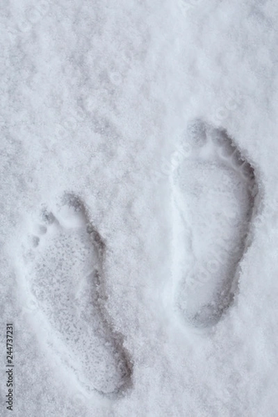 Fototapeta hardy person hardens his health, leaving traces of his bare feet in the snow in winter in cold weather
