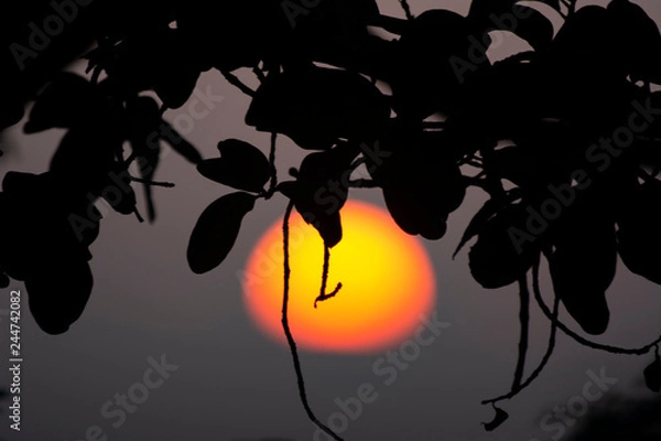 Obraz Orange in the sky