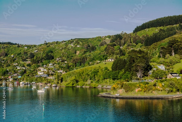 Fototapeta Sea approach to Port Chalmers, the port for the city of Dunedin in the South Island of New Zealand