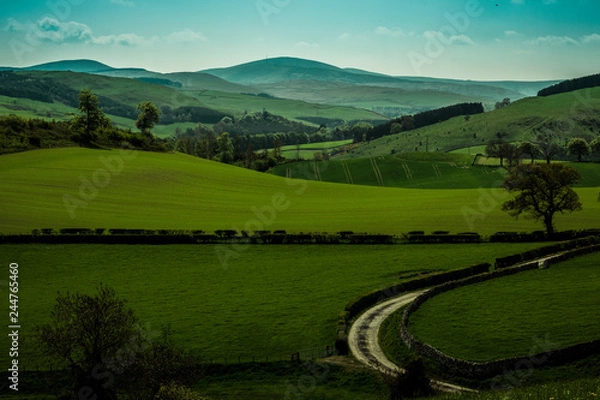 Fototapeta View across Scottish Border Hills, while walking up to Heip Hill on the outskirts of Hawick