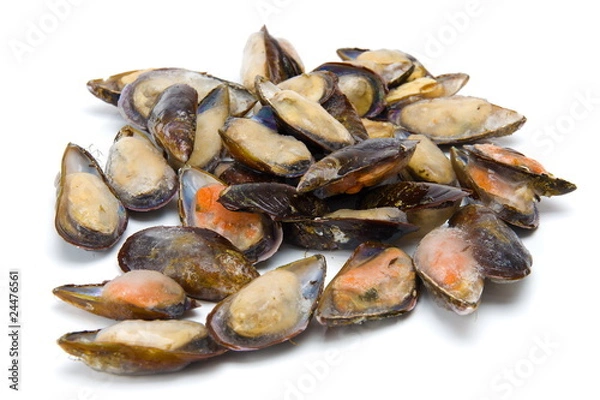 Fototapeta Mussels