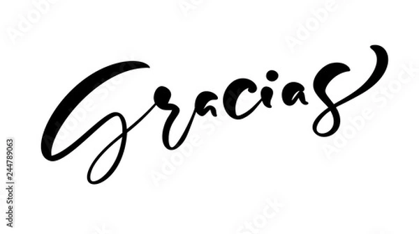Obraz Modern brush calligraphy. Gracias hand written lettering. Thank you in spanish. Isolated on background. Vector illustration