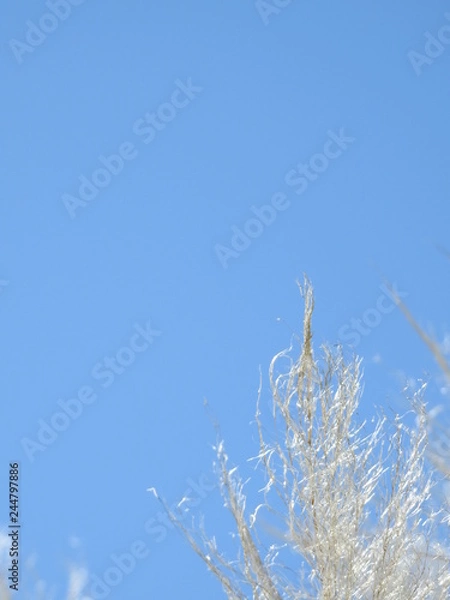 Fototapeta Minimalism