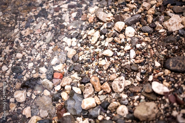 Fototapeta Small sea pebbles.