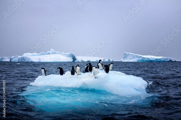 Fototapeta Snow, ice, glaciers, ocean water, clouds and penguins - a typical scene for Antarctica tourism