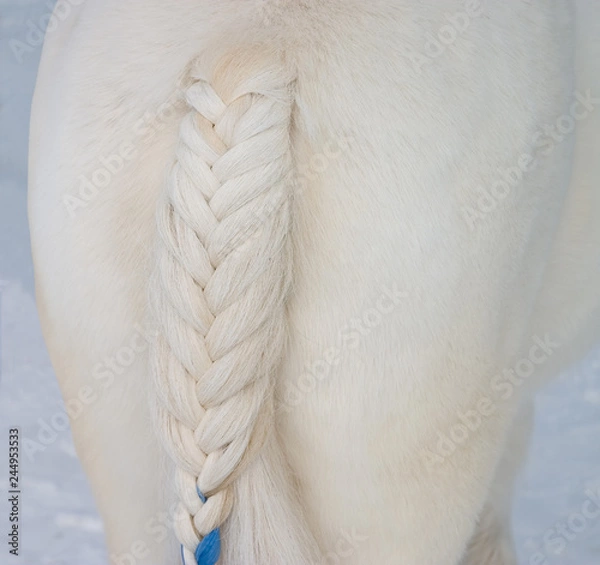 Obraz Winter in russia