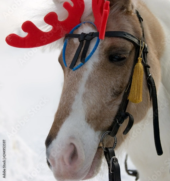 Obraz Winter in russia