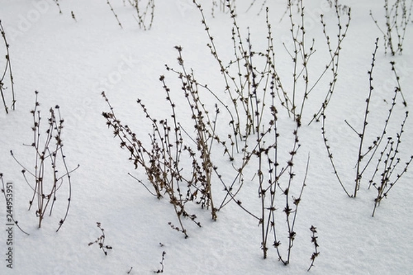 Obraz Winter in russia