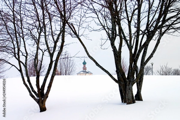 Obraz Winter in russia