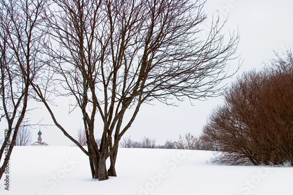 Obraz Winter in russia