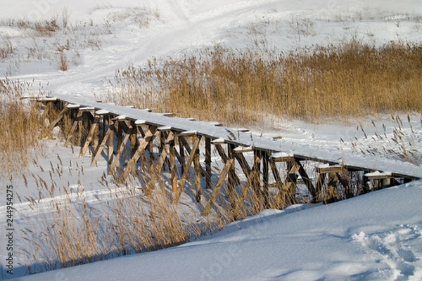 Obraz Winter in russia