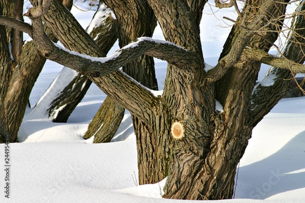 Obraz Winter in russia