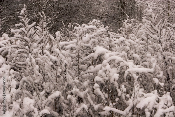 Obraz Winter in russia