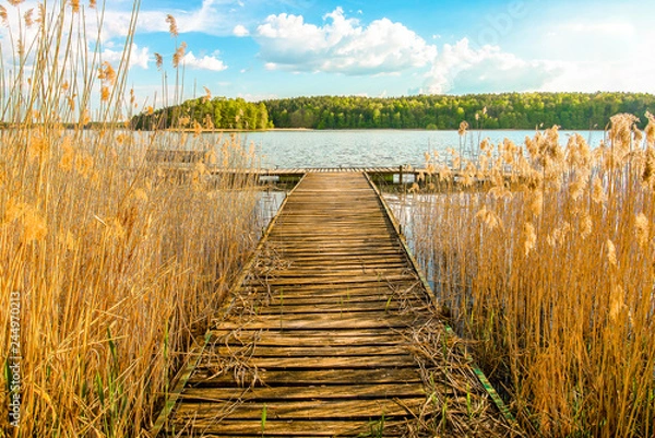 Obraz Pomost nad jeziorem