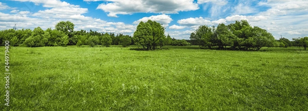 Fototapeta green field with trees and blue sky with clouds Sunny day, beautiful rural landscape, panoramic banner