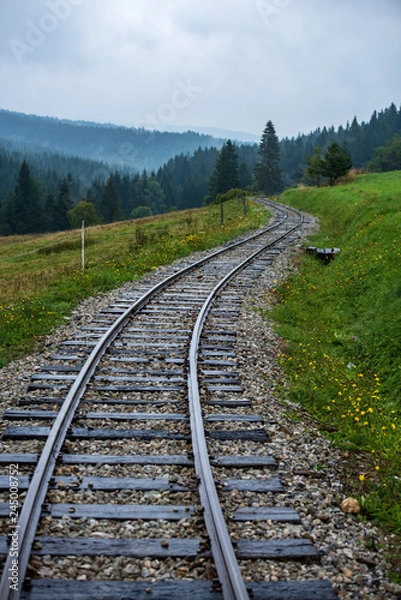 Obraz wavy log railway tracks in wet green forest with fresh meadows